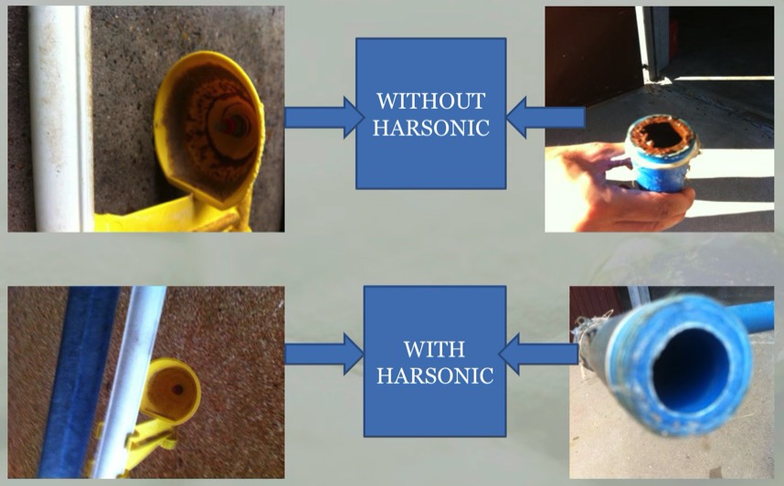 Avant et après Harsonic