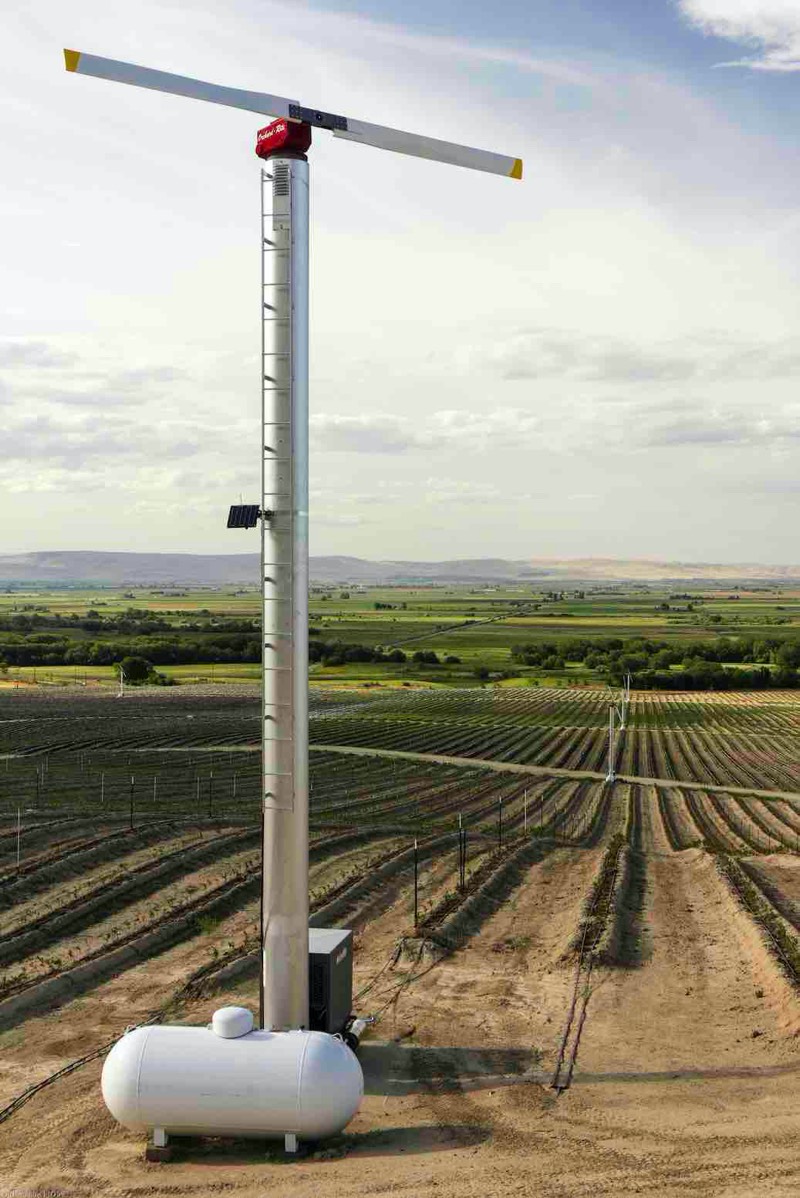 New orchard