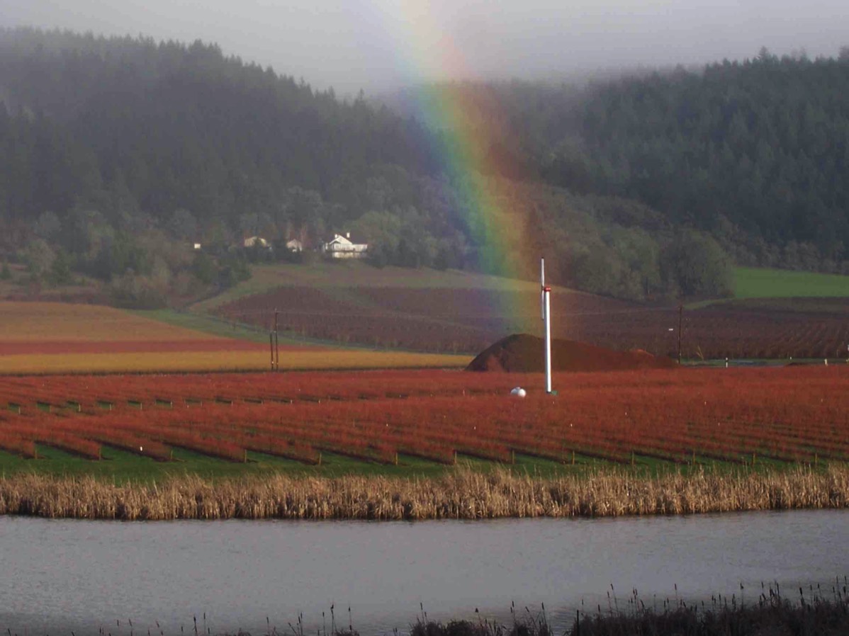 Rainbow