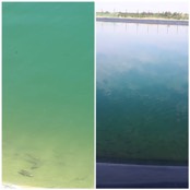 For and after Harsonic installation