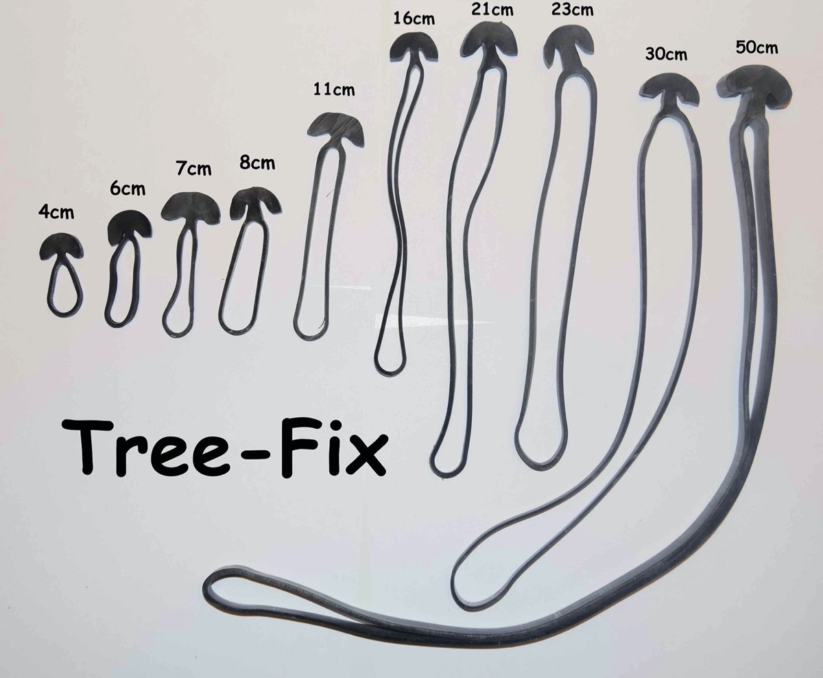 Gamme des TreeFix