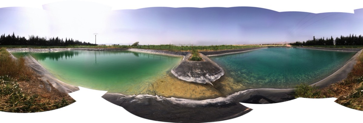 Ponds with Algae Control